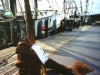 Anchor for Sale - Cape May, N.J.
