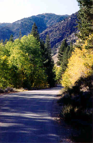 Autumn on Road to Lundy Lake - Mammoth Lakes, Calif.