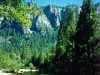 To What Green Altar - Yosemite Valley, Yosemite National Park, Calif.