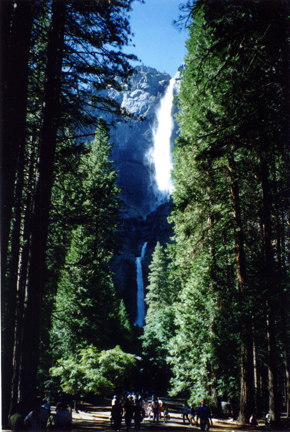 Yosemite Falls - Yosemite National Park, Calif.
