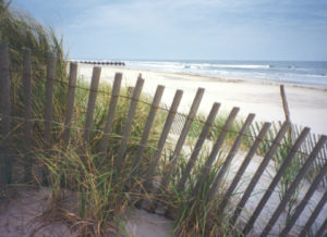 AV008W Snow Fence Sea View